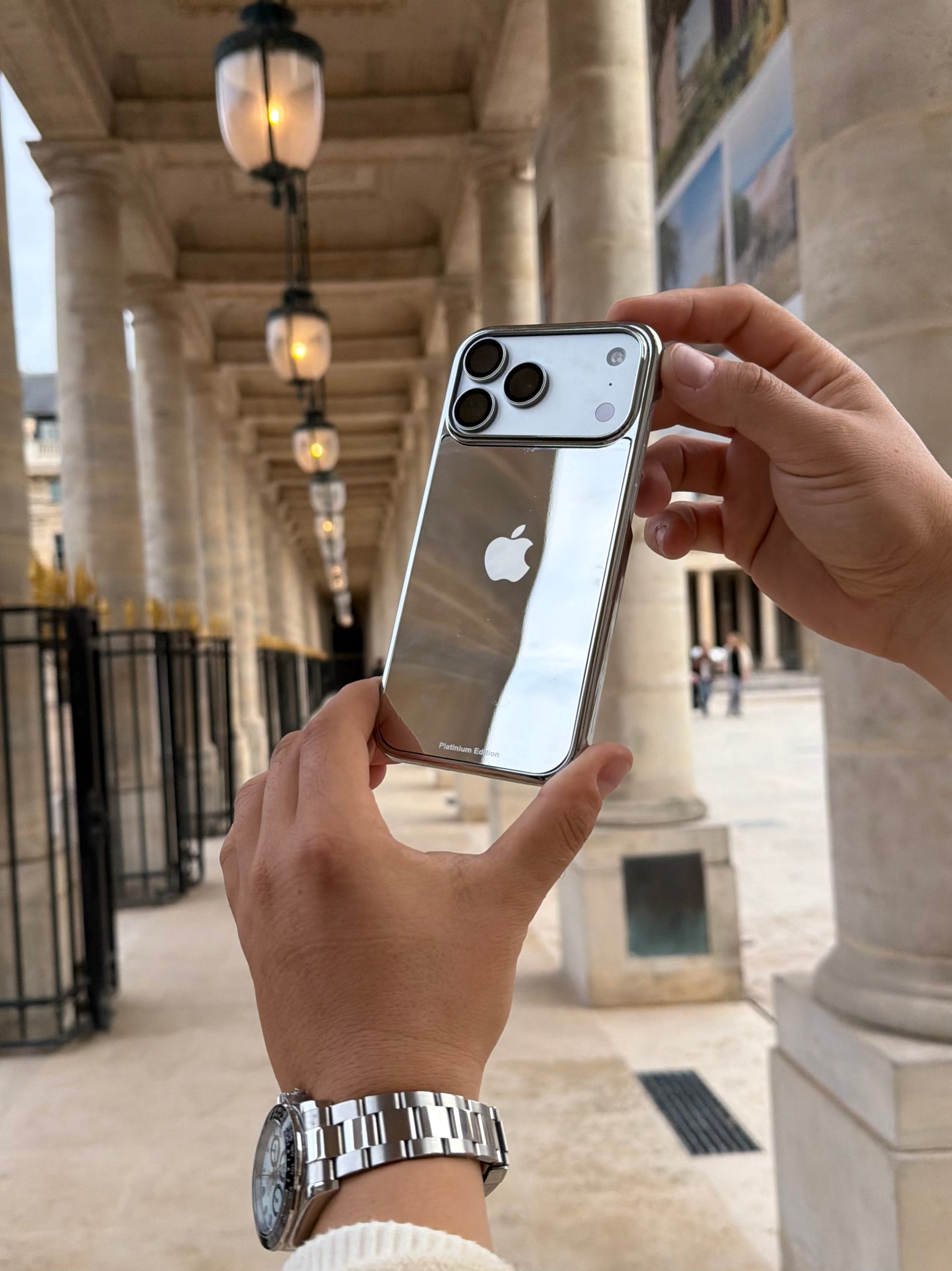 platinium silver iphone 17 pro max case