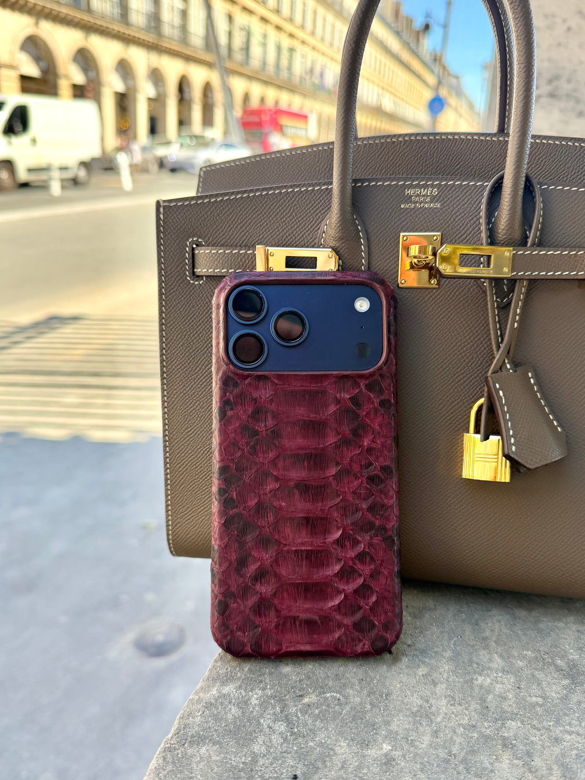Burgundy Python Snake Leather iPhone 18 Pro Max MagSafe Case