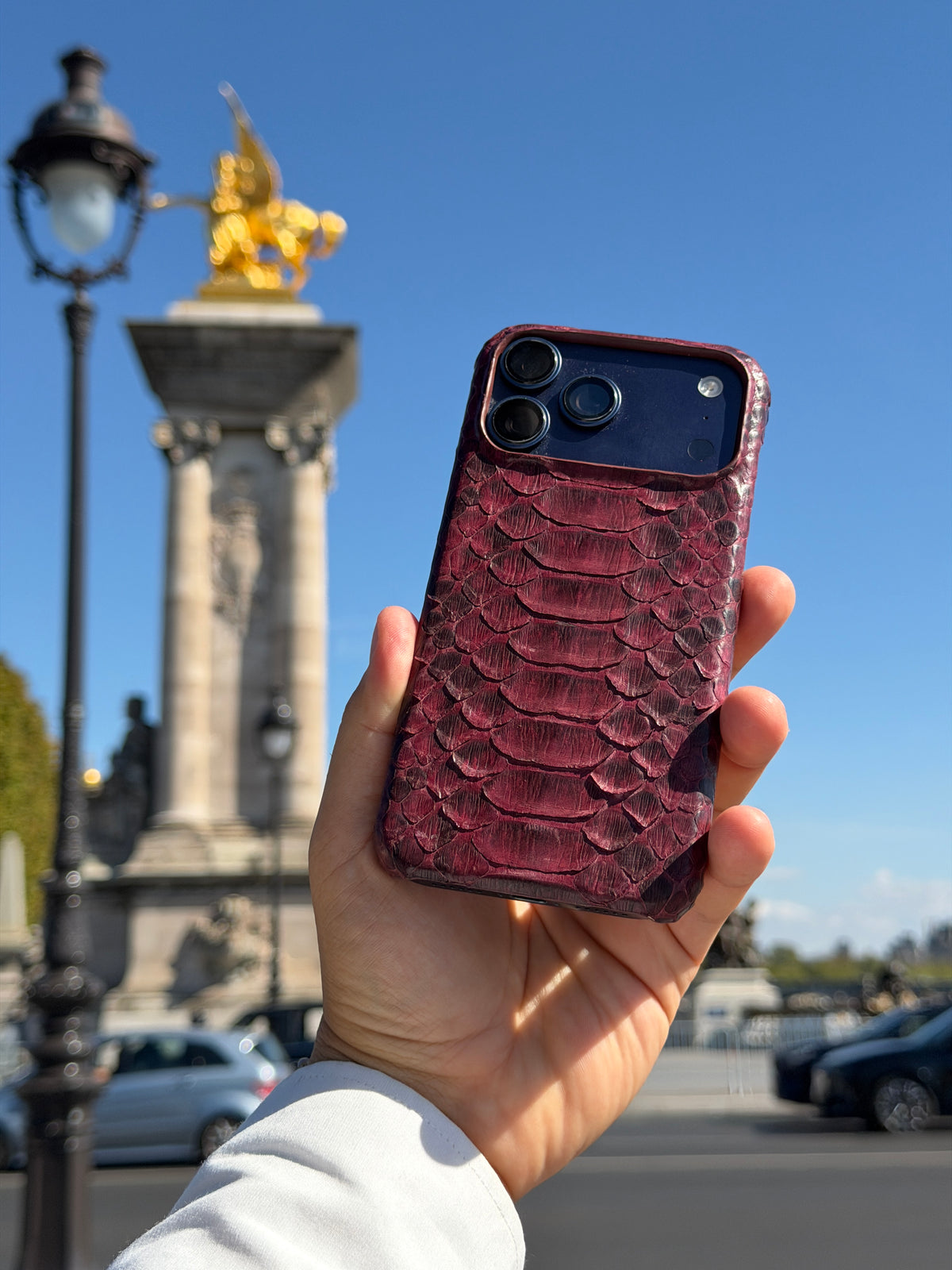 Burgundy Python Snake Leather iPhone 18 Pro Max MagSafe Case