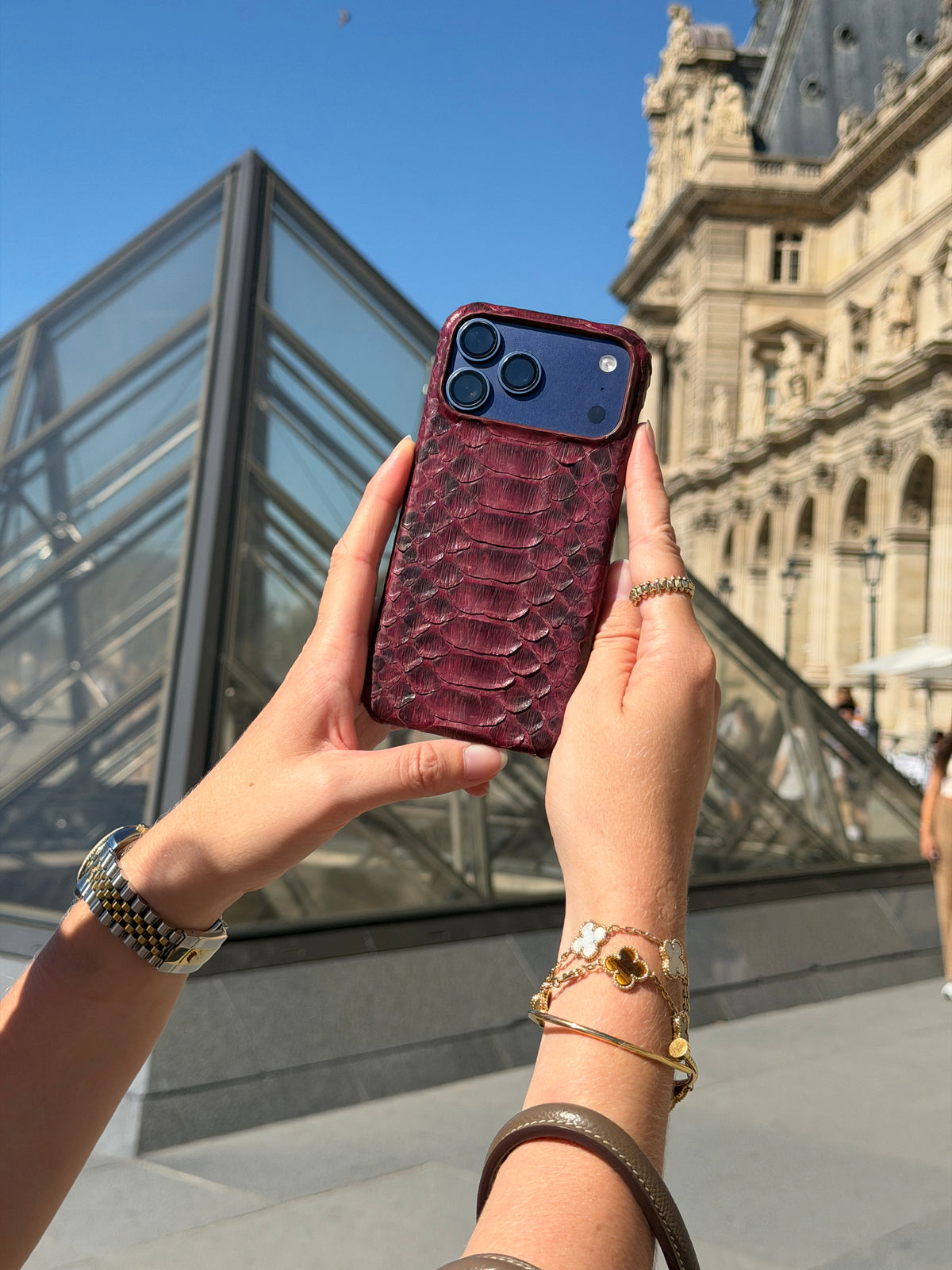 Burgundy Python Snake Leather iPhone 18 Pro Max MagSafe Case
