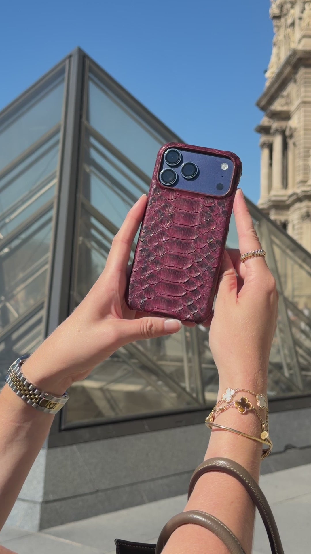 Burgundy Python Snake Leather iPhone 18 Pro Max MagSafe Case