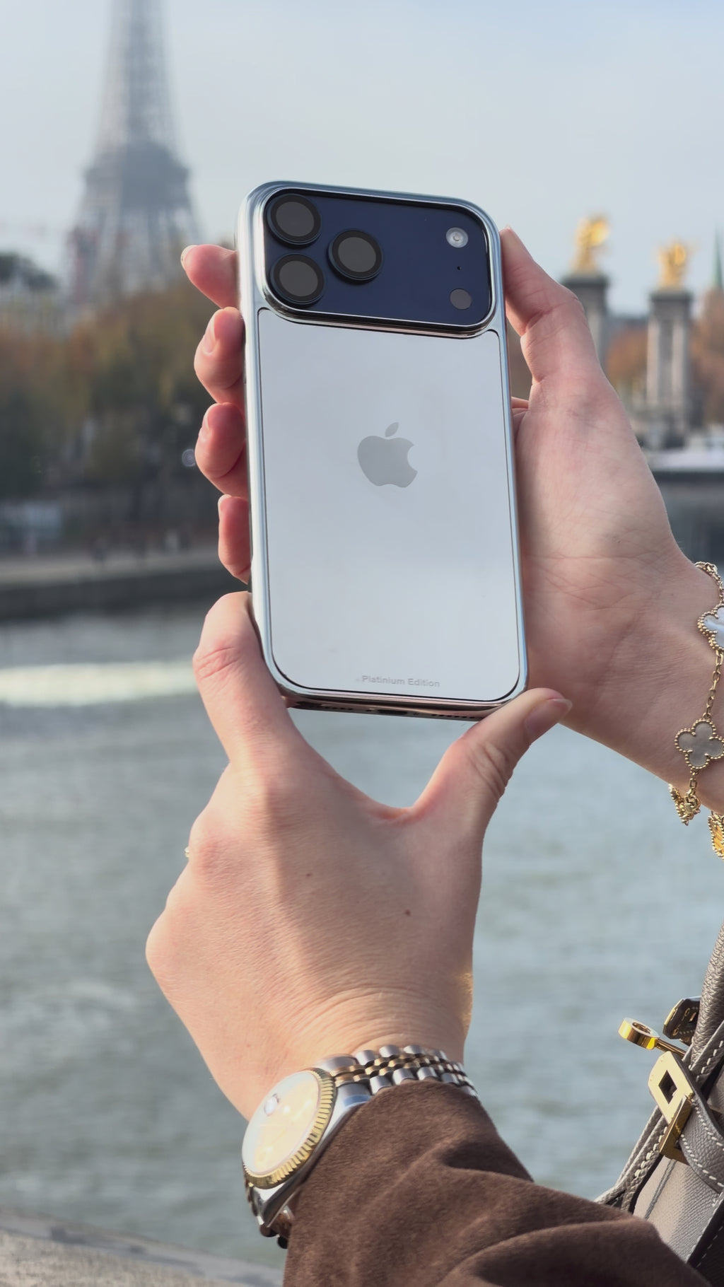 Silver Plated Apple Design iPhone 17 Pro Max Case