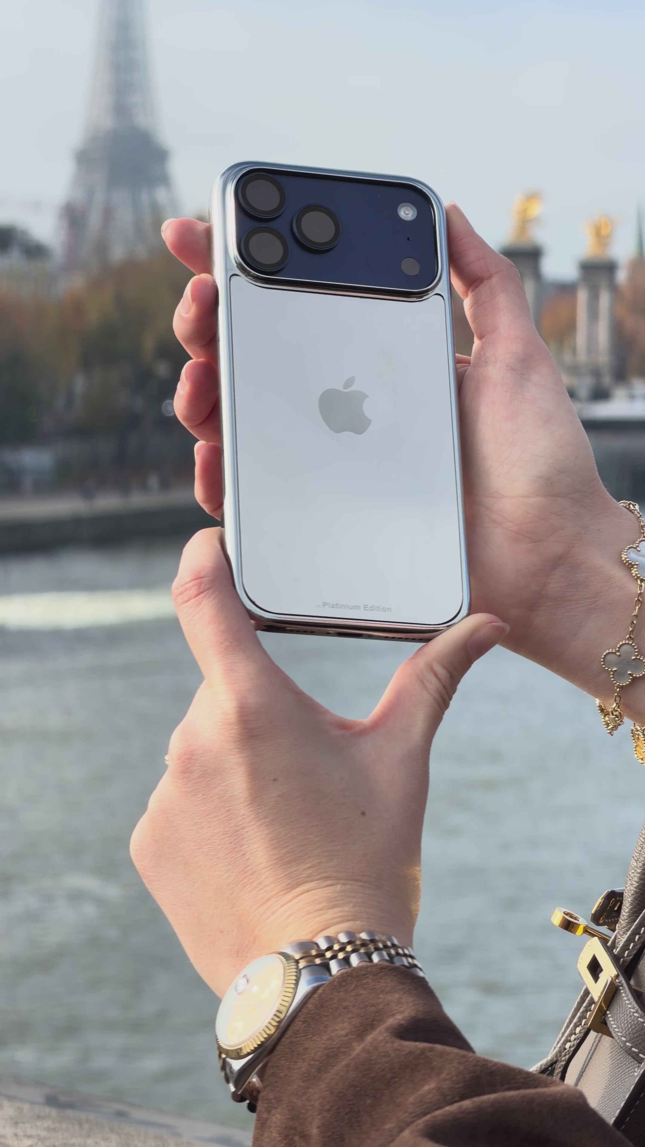 Silver Plated Apple Design iPhone 17 Pro Max Case